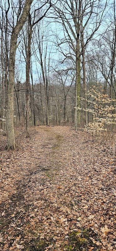 Knox Woods State Nature Preserve - Image 2