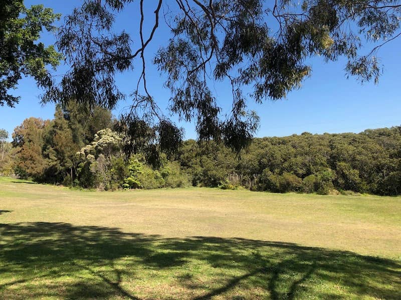 Basil Reserve - Image 2