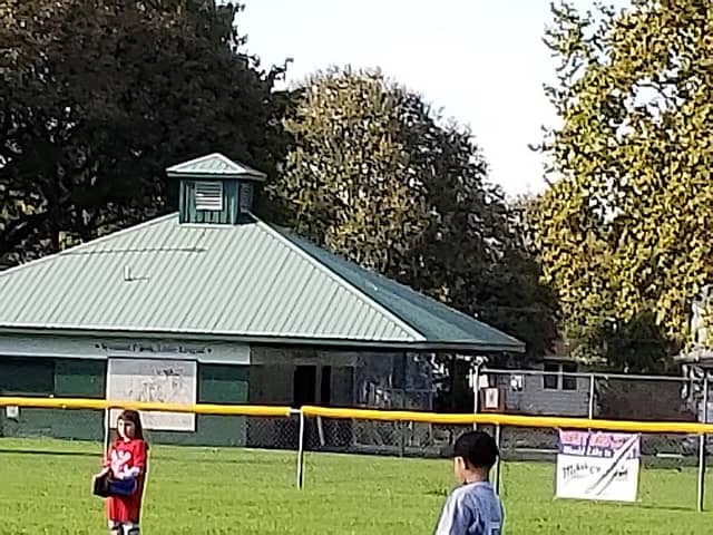 Lewis Park - Image 1