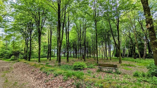 Hermann-Droste Park - Image 1