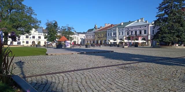 Drzewo w iluminacjach - Image 2