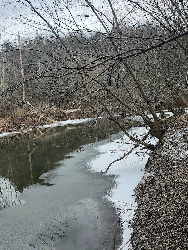 Back Creek Stream Preserve - Image 2