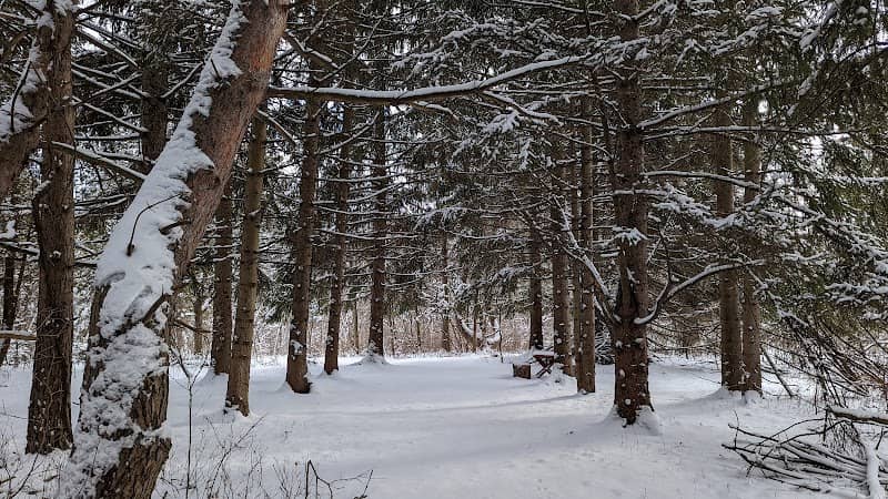 Kings Corners - Image 2