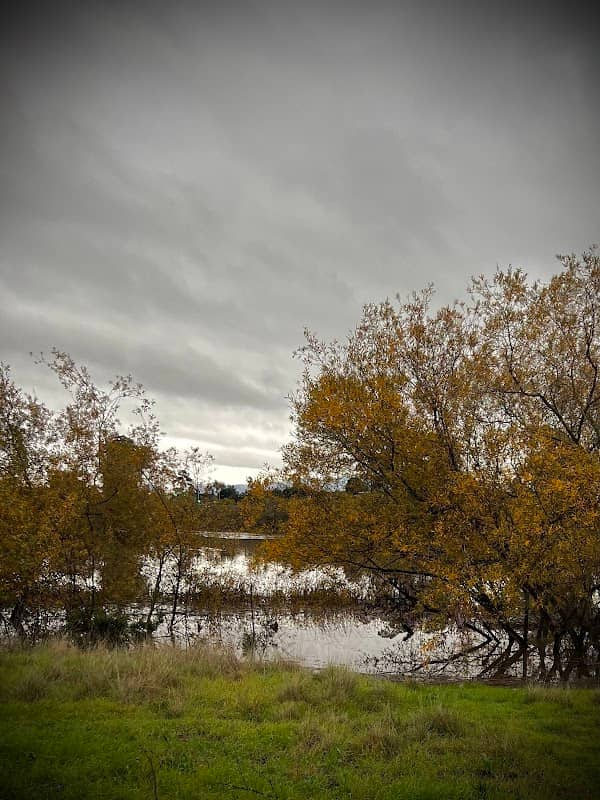 Upper Carr Lake - Image 1