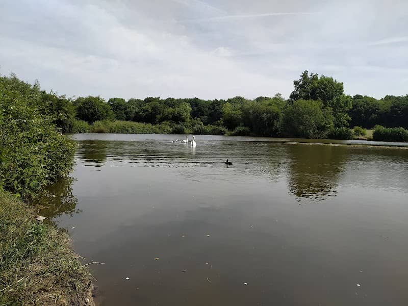 Bulwell Hall Park - Image 2