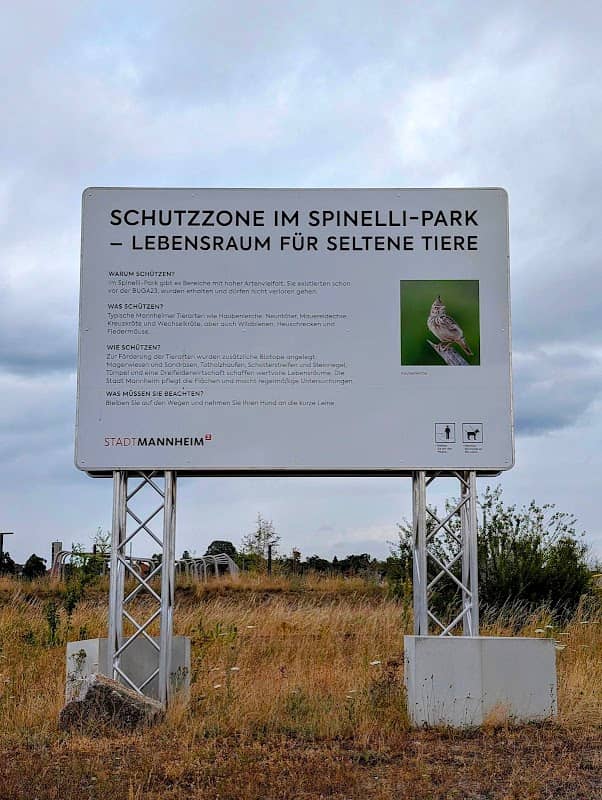 Spinellipark Artenschutzfläche - Image 2