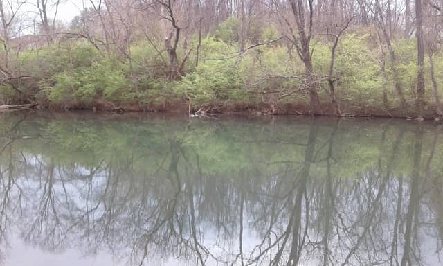Mason's Millpond - Image 1
