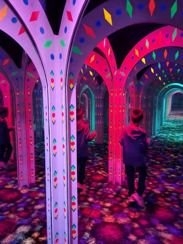 Amazing Mirror Maze - Image 2
