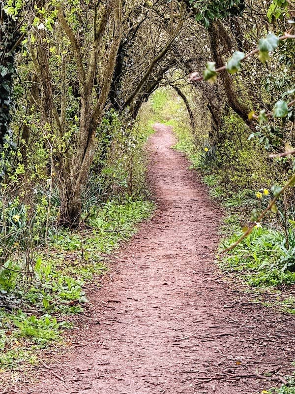 Millennium Green - Image 2