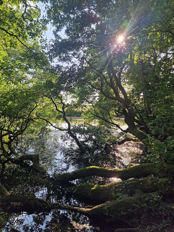 Millennium Green - Image 1