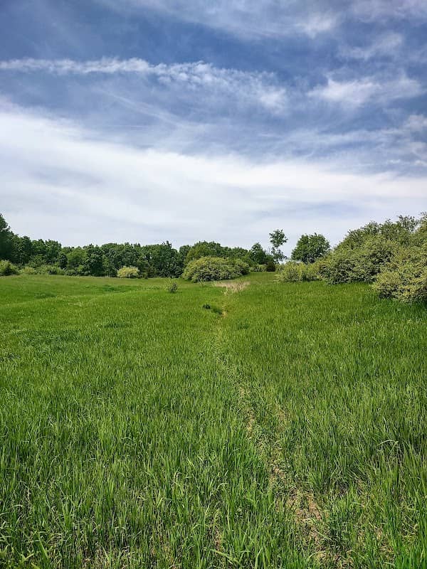 Onsted State Game Area - Image 1