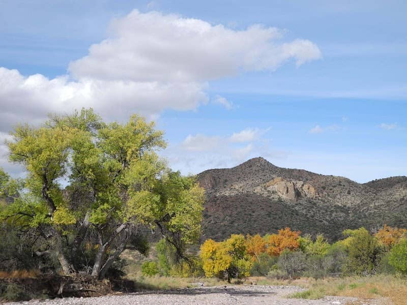 The Nature Conservancy - Muleshoe Ranch Preserve and Cooperative Management Area - Image 3