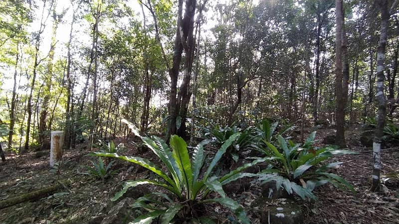 Byrangery Grass Reserve - Image 1