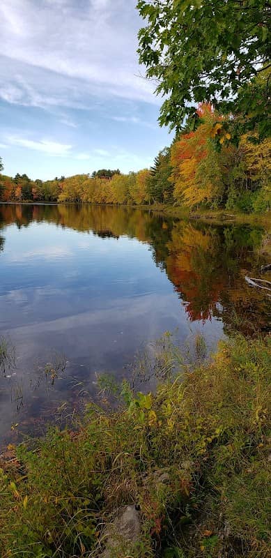 Penobscot River - Image 1
