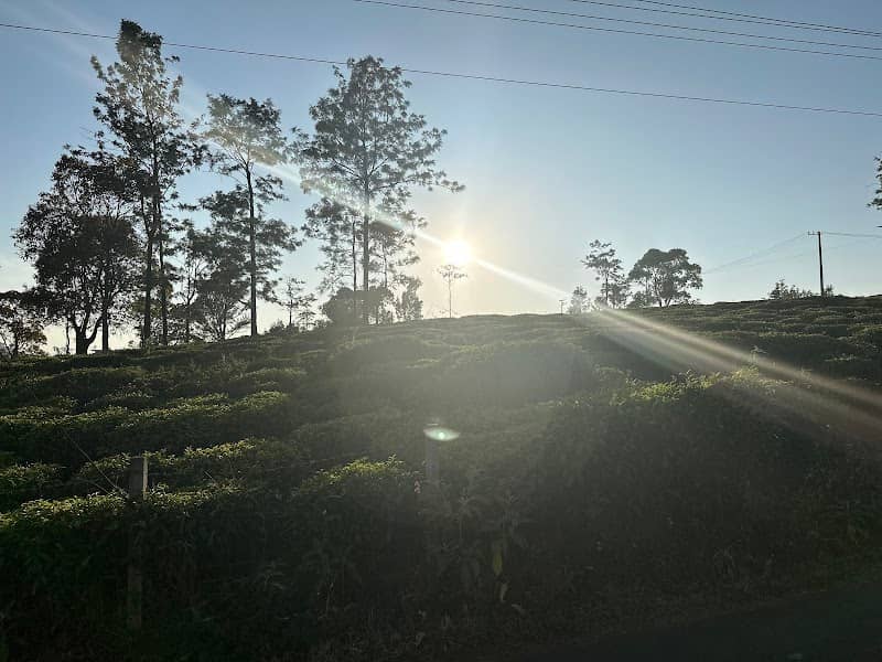 Sunset point - Image 1