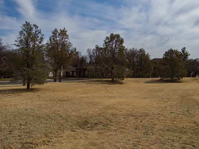 Neugebauer Park - Image 2