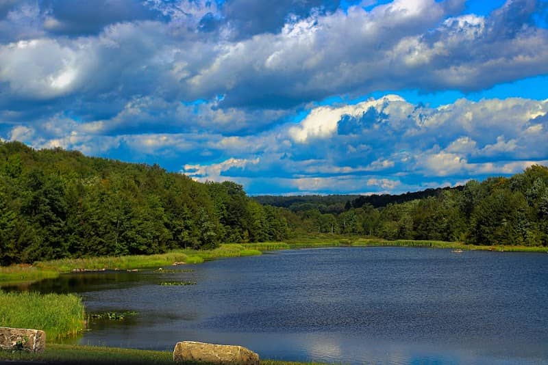 Duman Lake County Park - Image 2