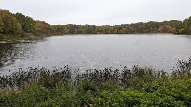 Tri-Pond Park Nature Center - Image 1
