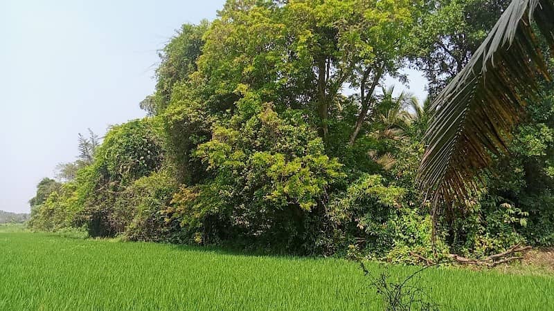 Punthiruthi - Image 1