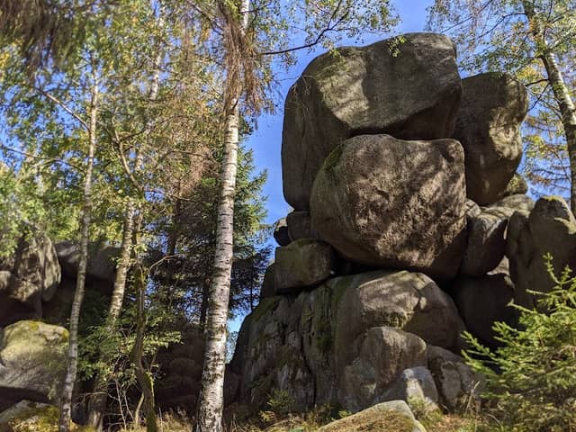 Feigenbaumklippe - Image 1