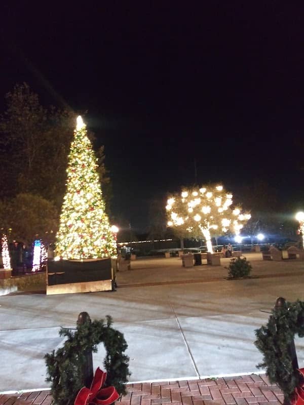 Civic Center Park - Image 1