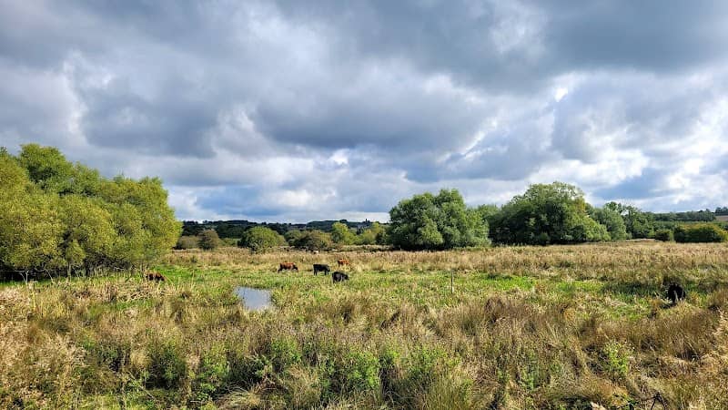 Erewash Nature Reserve - Image 2