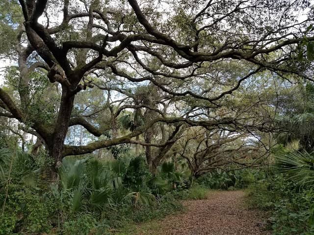 Oak Hammock Park - Image 2