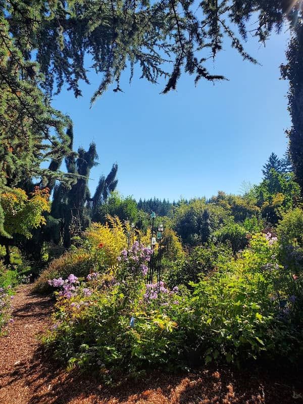 Dancing Oaks Nursery and Gardens - Image 1