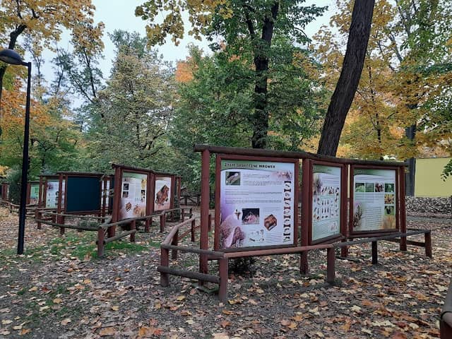 Park Tysiąclecia - Image 1