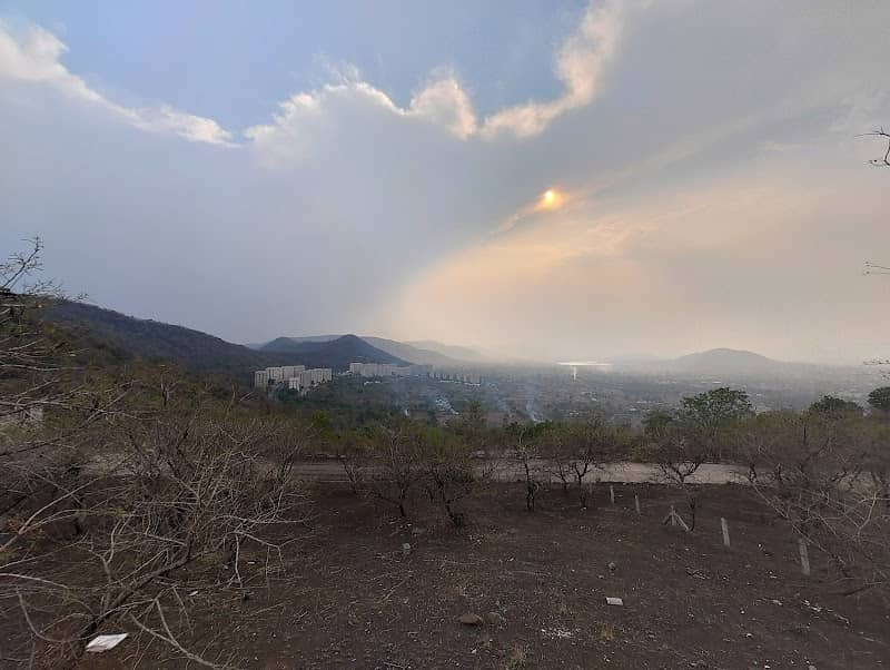 Xrbia Jungle - Image 1