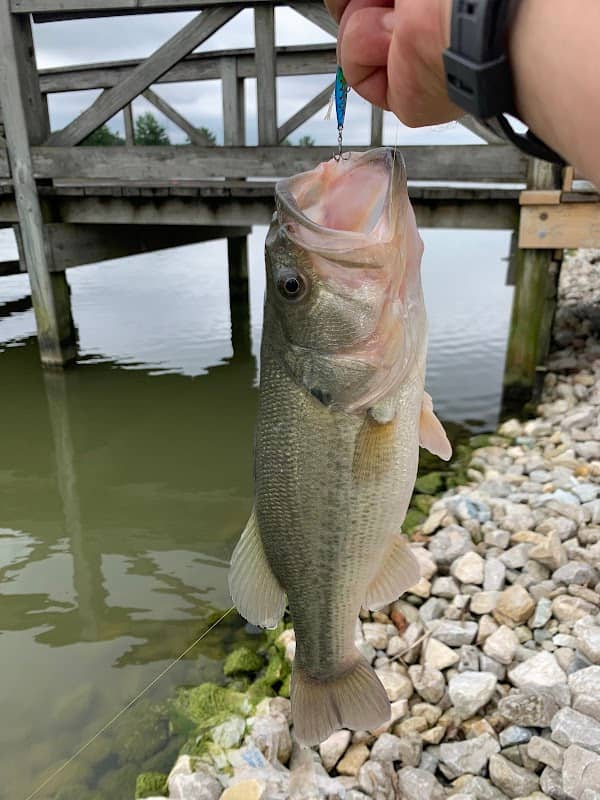 Fishing Bridge - Image 2