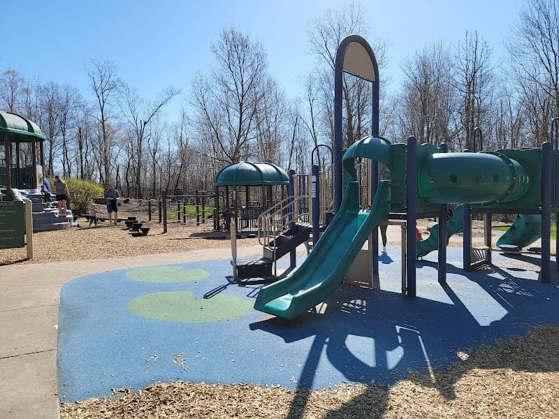 Frog Hollow - Image 1