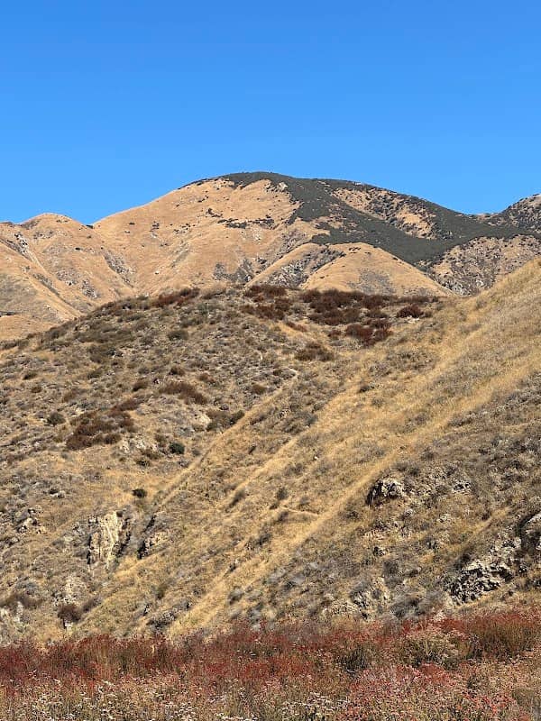 City Creek Levee Trail - Image 1