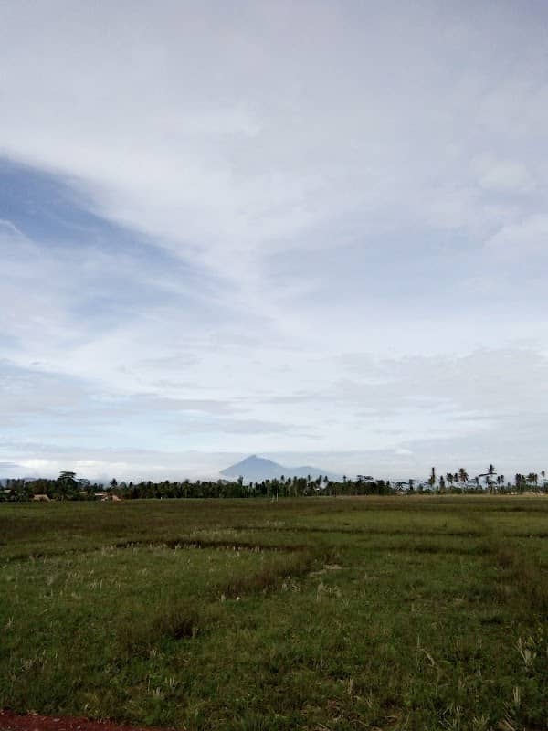 Bumi Perkemahan Ampera Gumukmas - Image 2