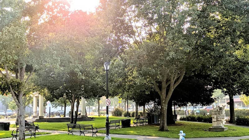 Sebastopol Town Square - Image 1