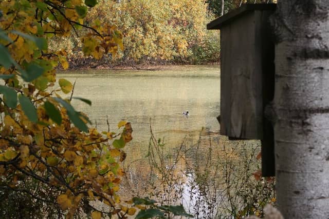 Sterling Oaks Park - Image 2