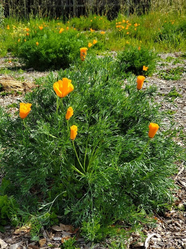 Roget Park - Image 1