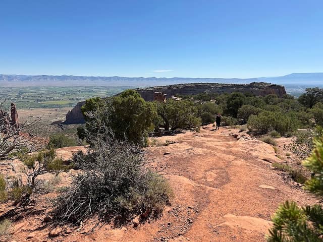 Otto's Trail - Image 2