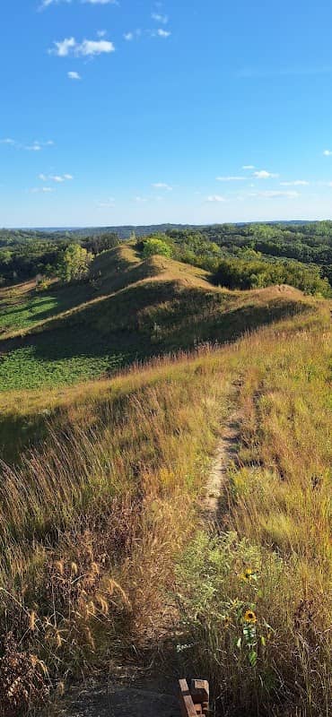 Preparation Canyon - Loess Hills State Park - Image 1