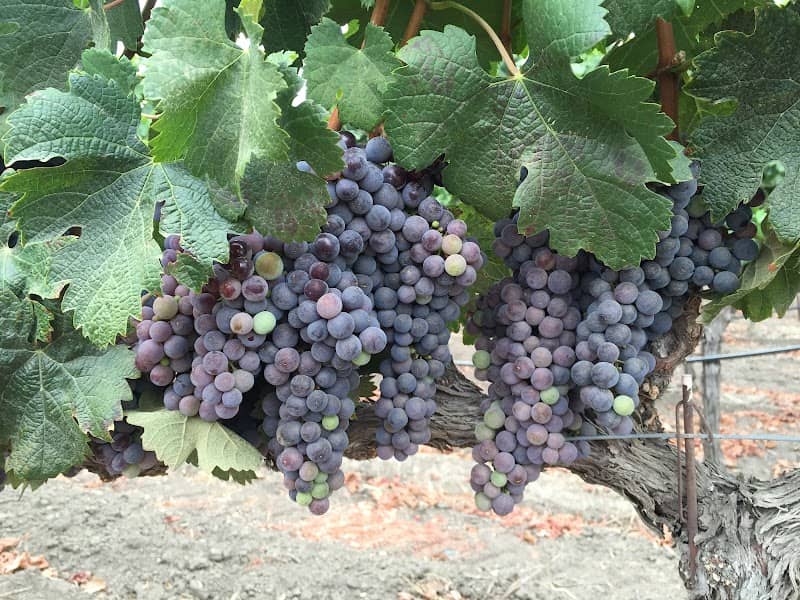 Fleury Estate Winery - Image 1