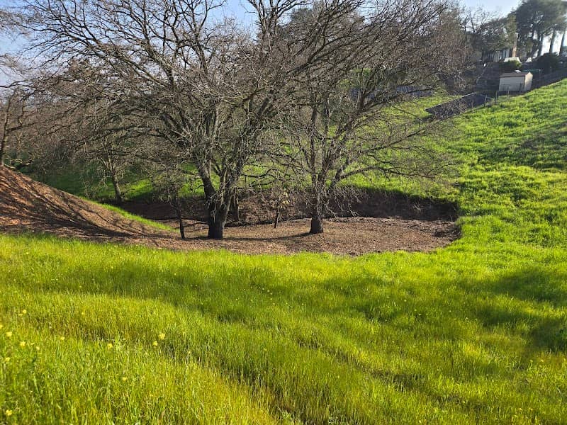 Old Oak park - Image 2