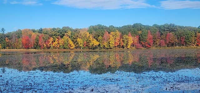 Haymarsh Lake State Game Area - Image 2