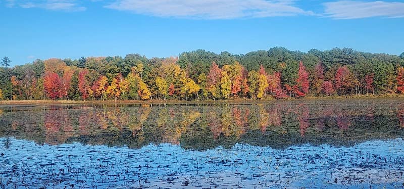 Haymarsh Lake State Game Area - Image 2