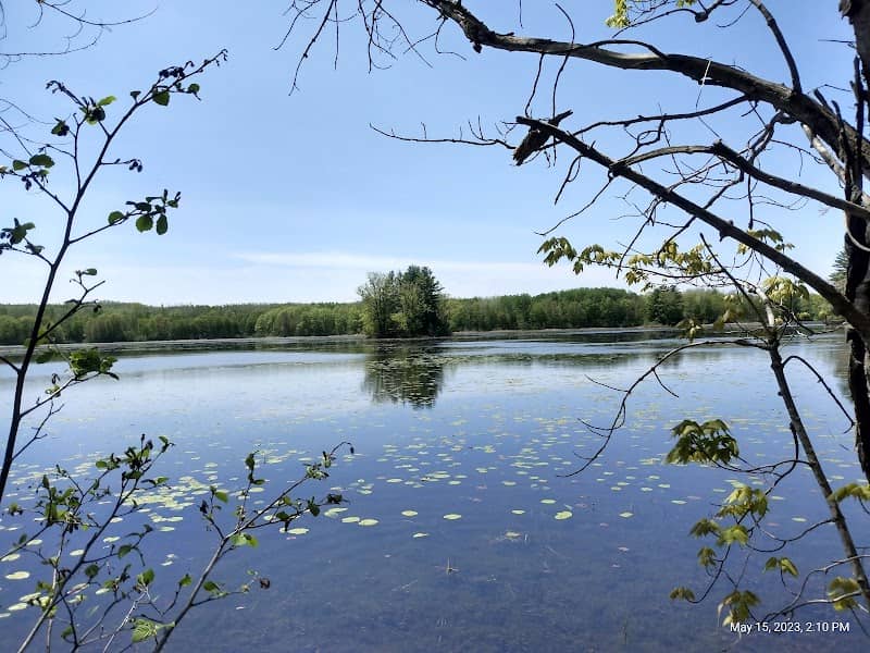 Haymarsh Lake State Game Area - Image 1