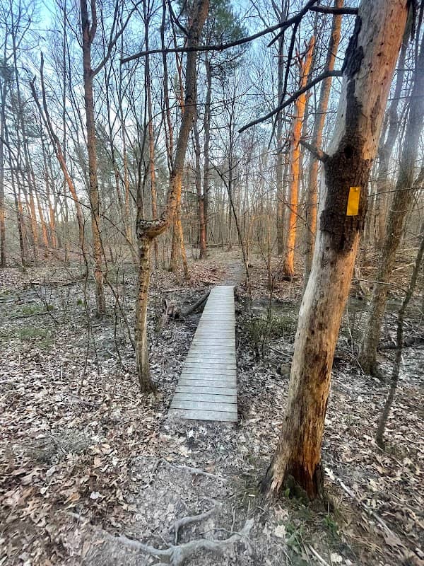 Bellamy Preserve - Image 2