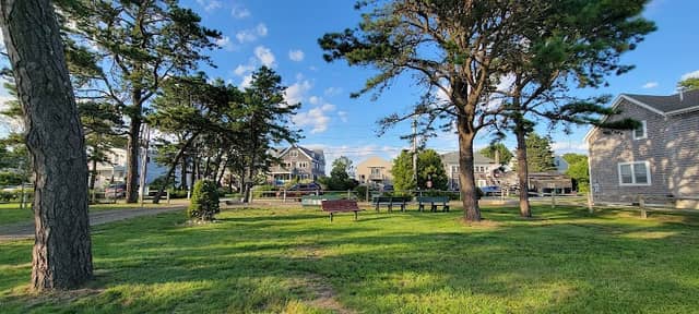 Park In the Pines - Image 1