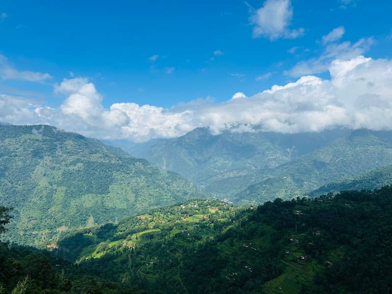 Z View point - Image 1