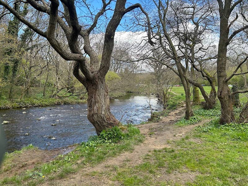 Allensford Country Park - Image 1