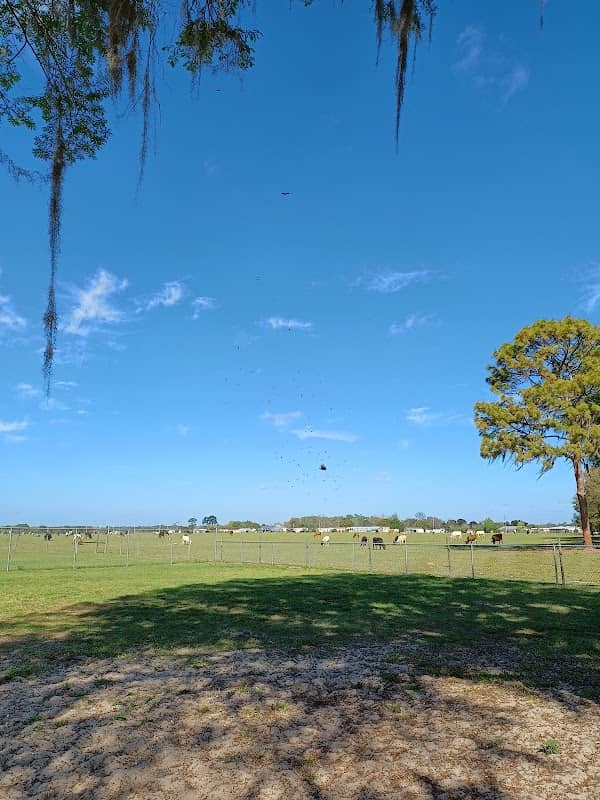 Lake Panasoffkee Dog Park - Image 1