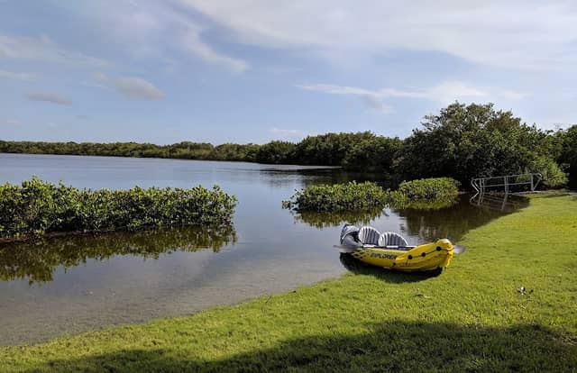 Mobbly Bayou Wilderness Preserve - Image 2